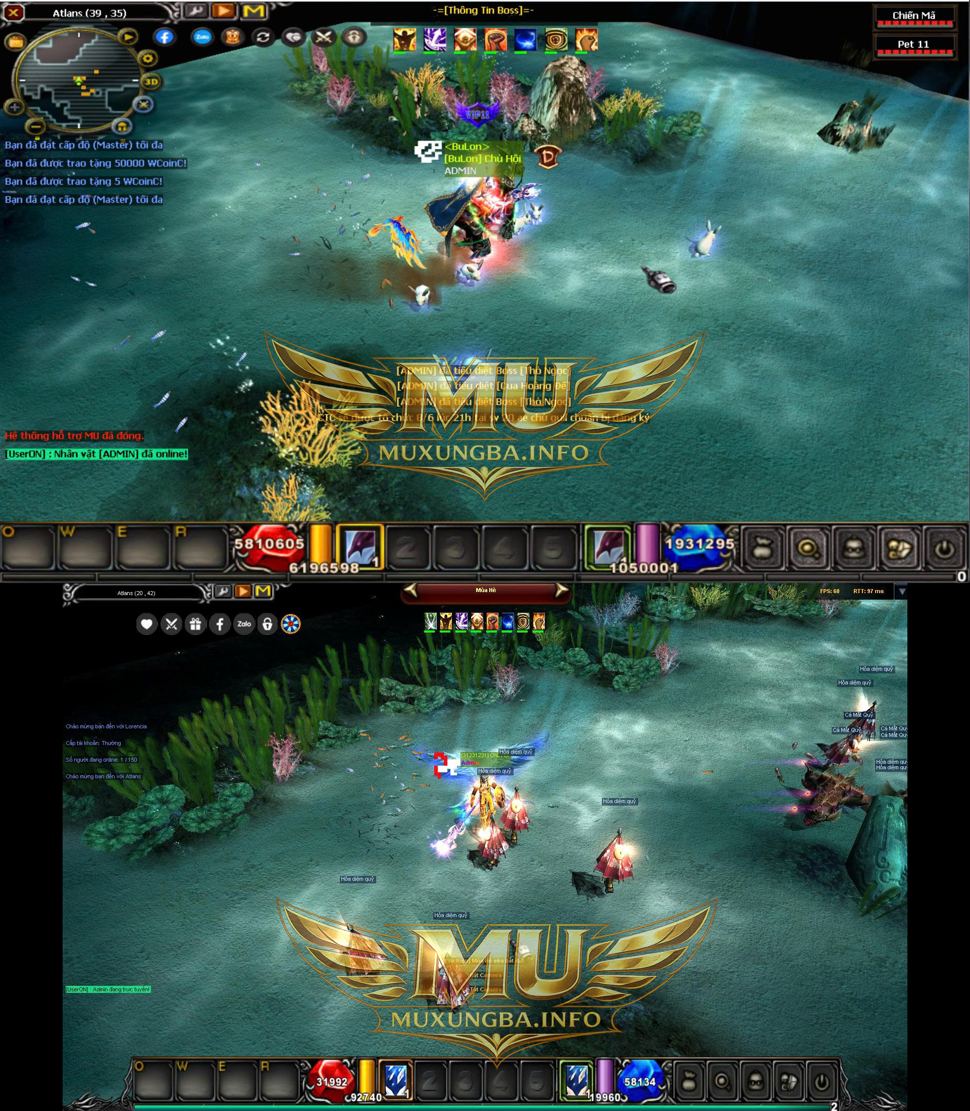 Hướng dẫn ép cánh cấp 1